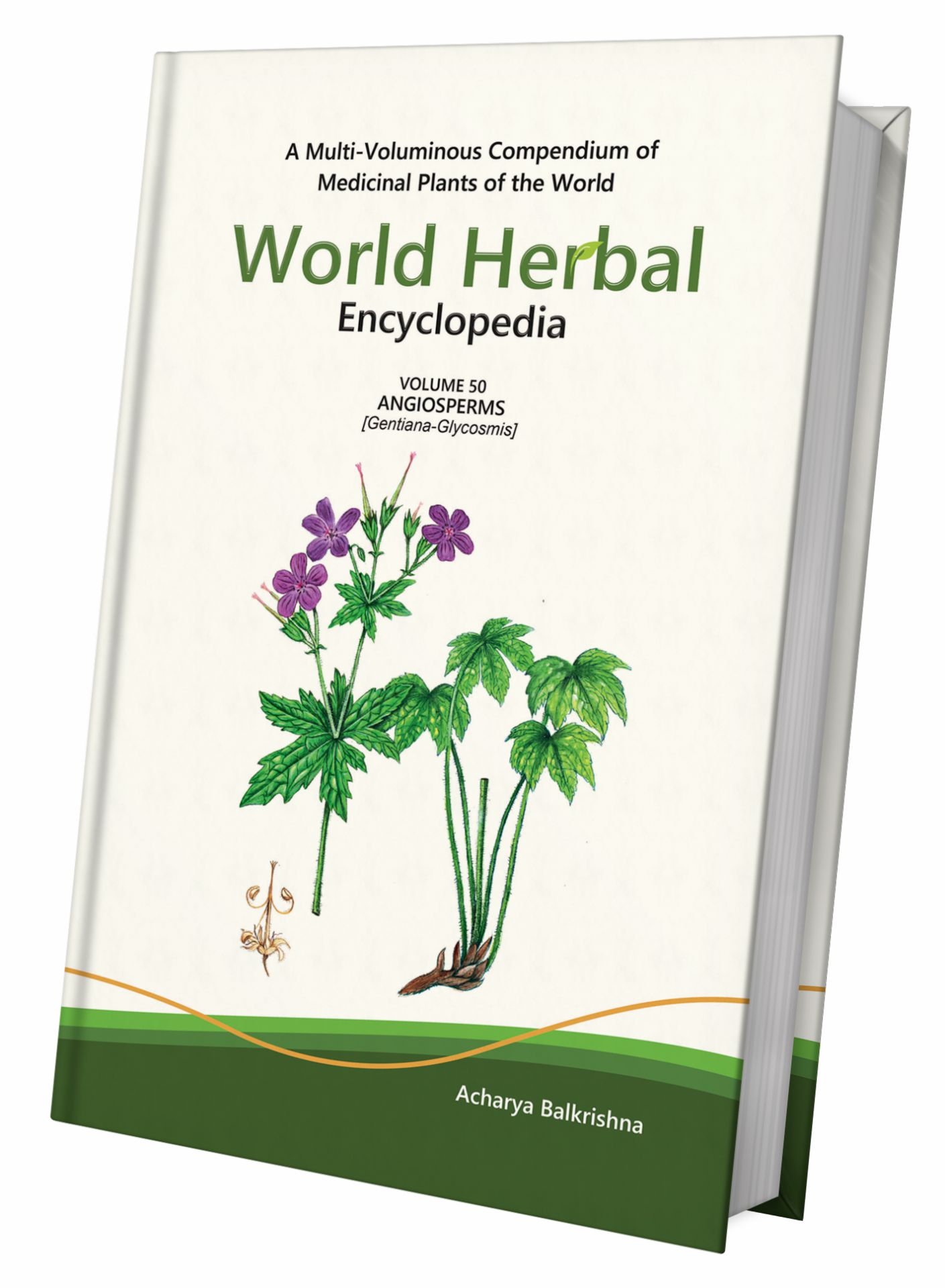 World Herbal Encyclopedia