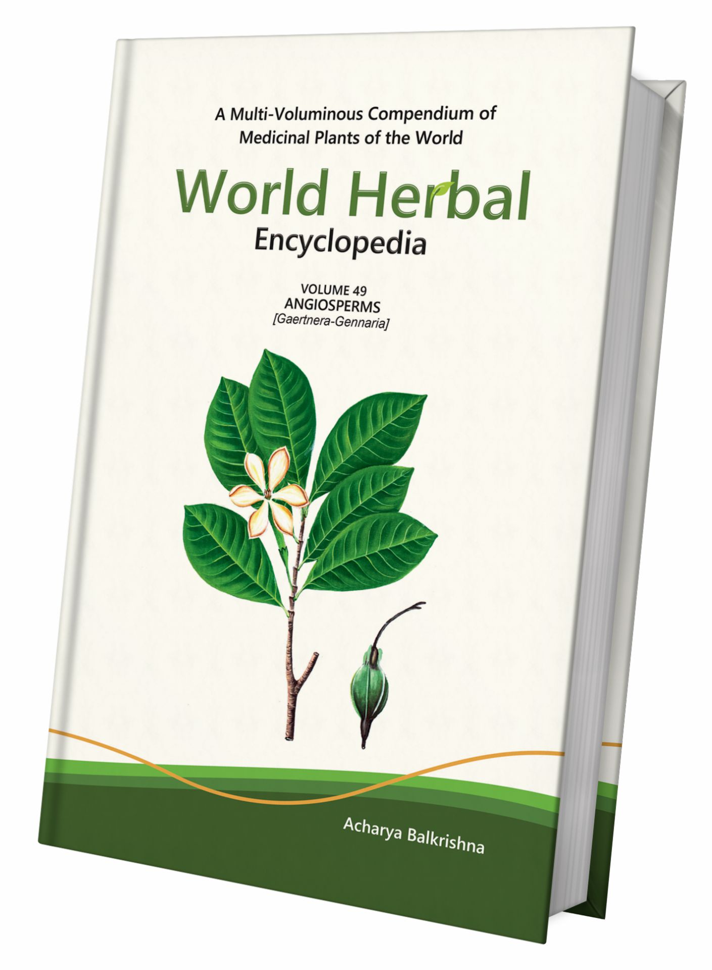 World Herbal Encyclopedia