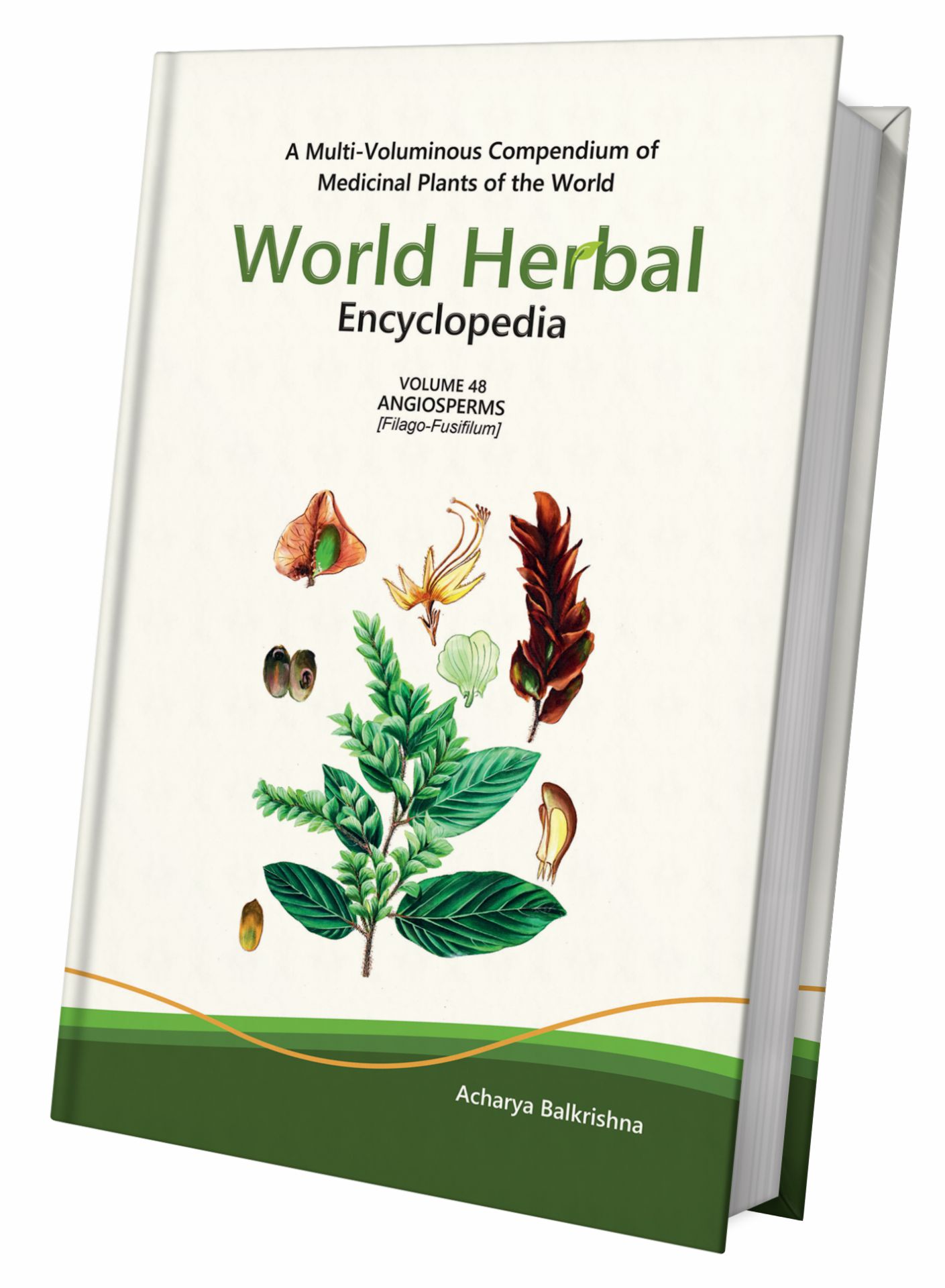 World Herbal Encyclopedia