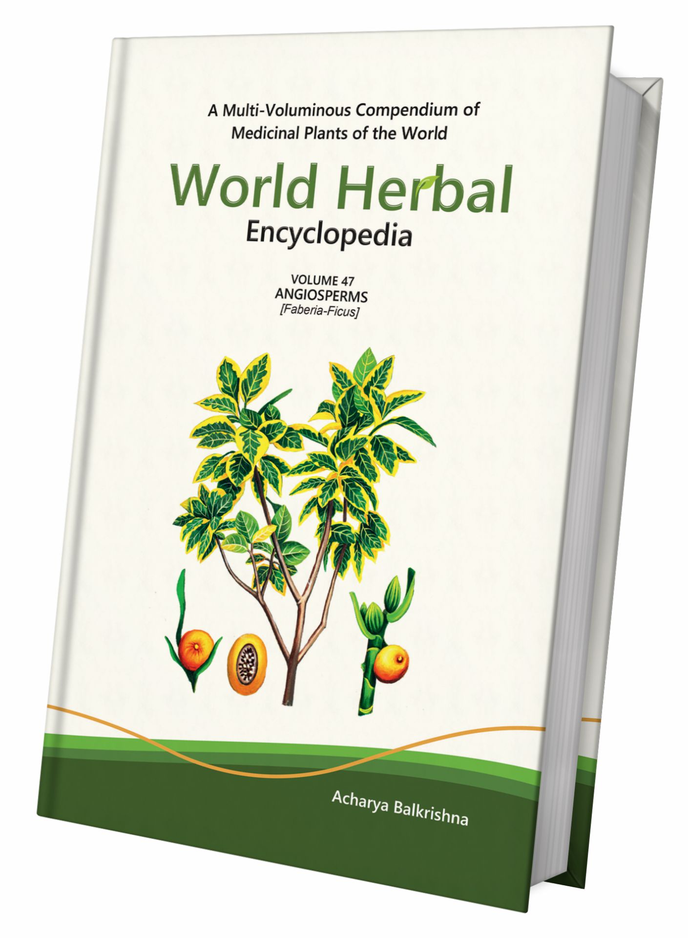 World Herbal Encyclopedia