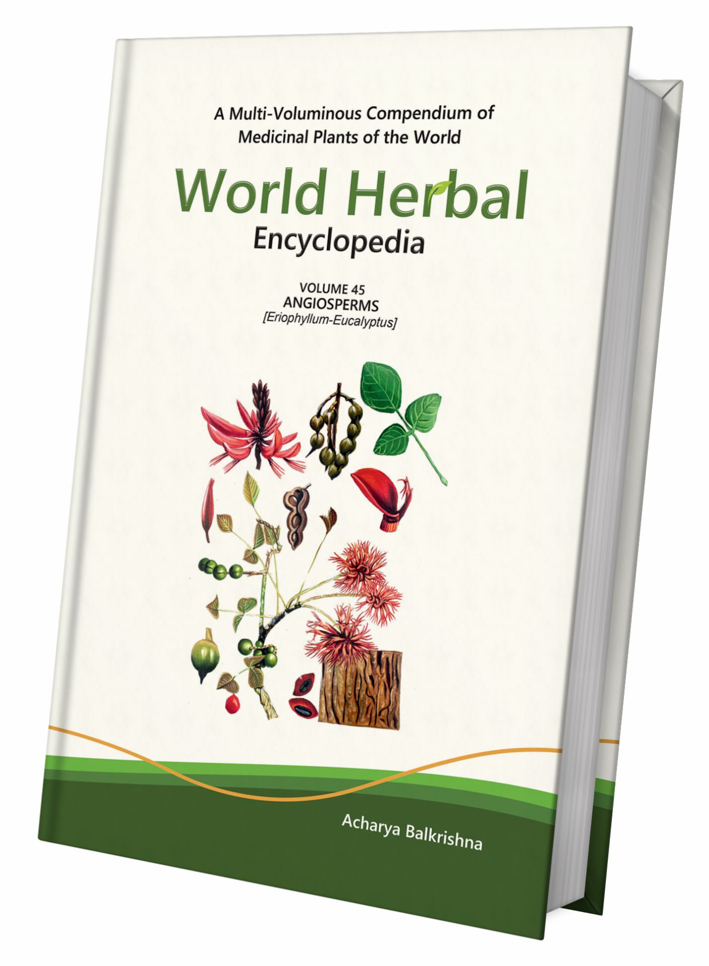 World Herbal Encyclopedia