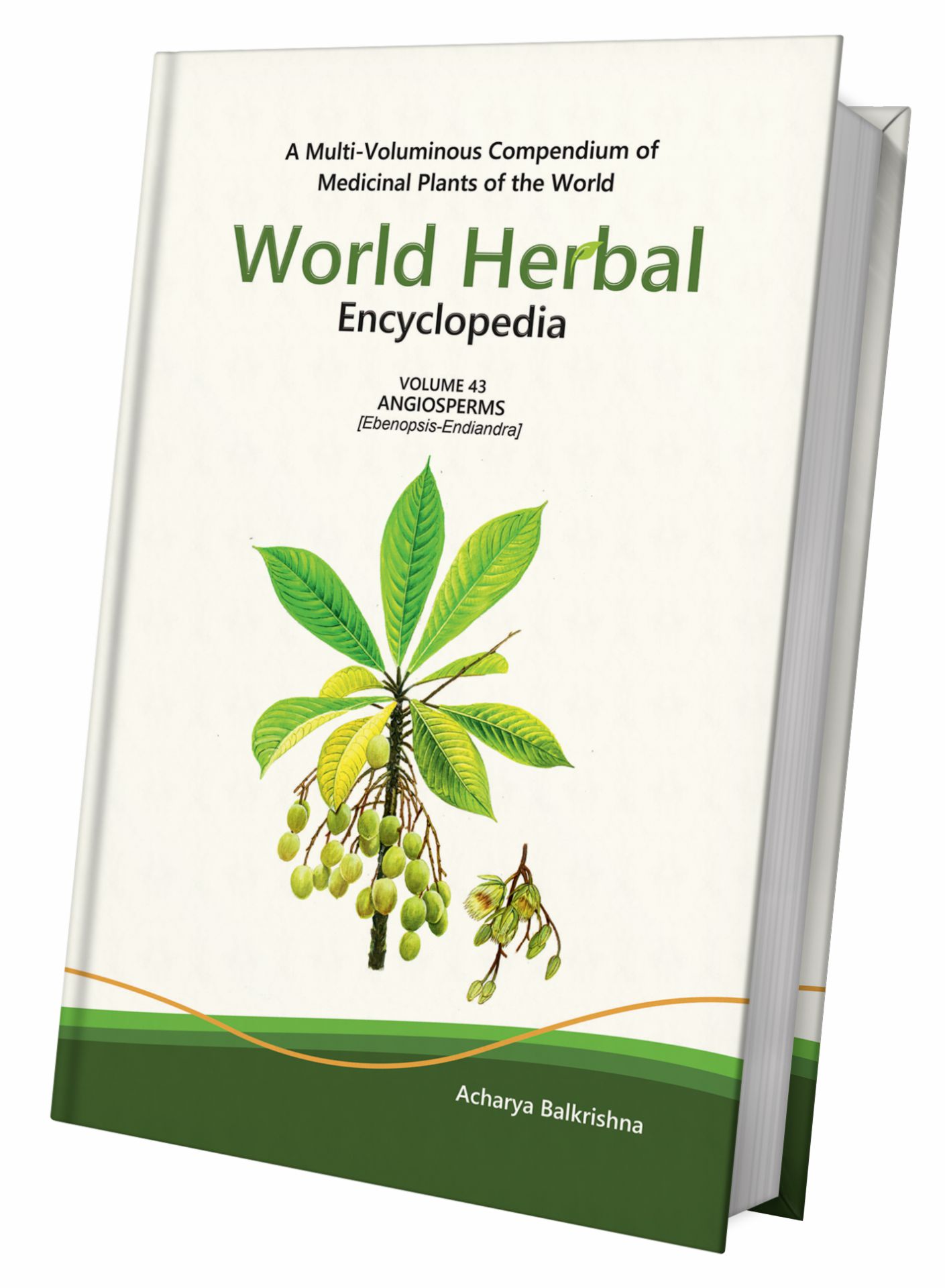 World Herbal Encyclopedia