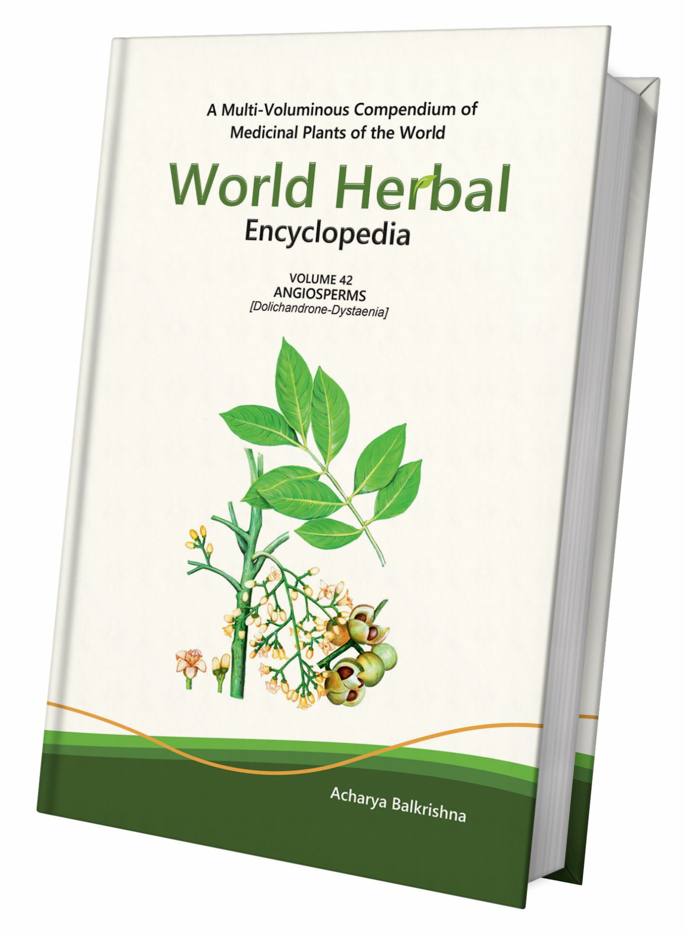 World Herbal Encyclopedia