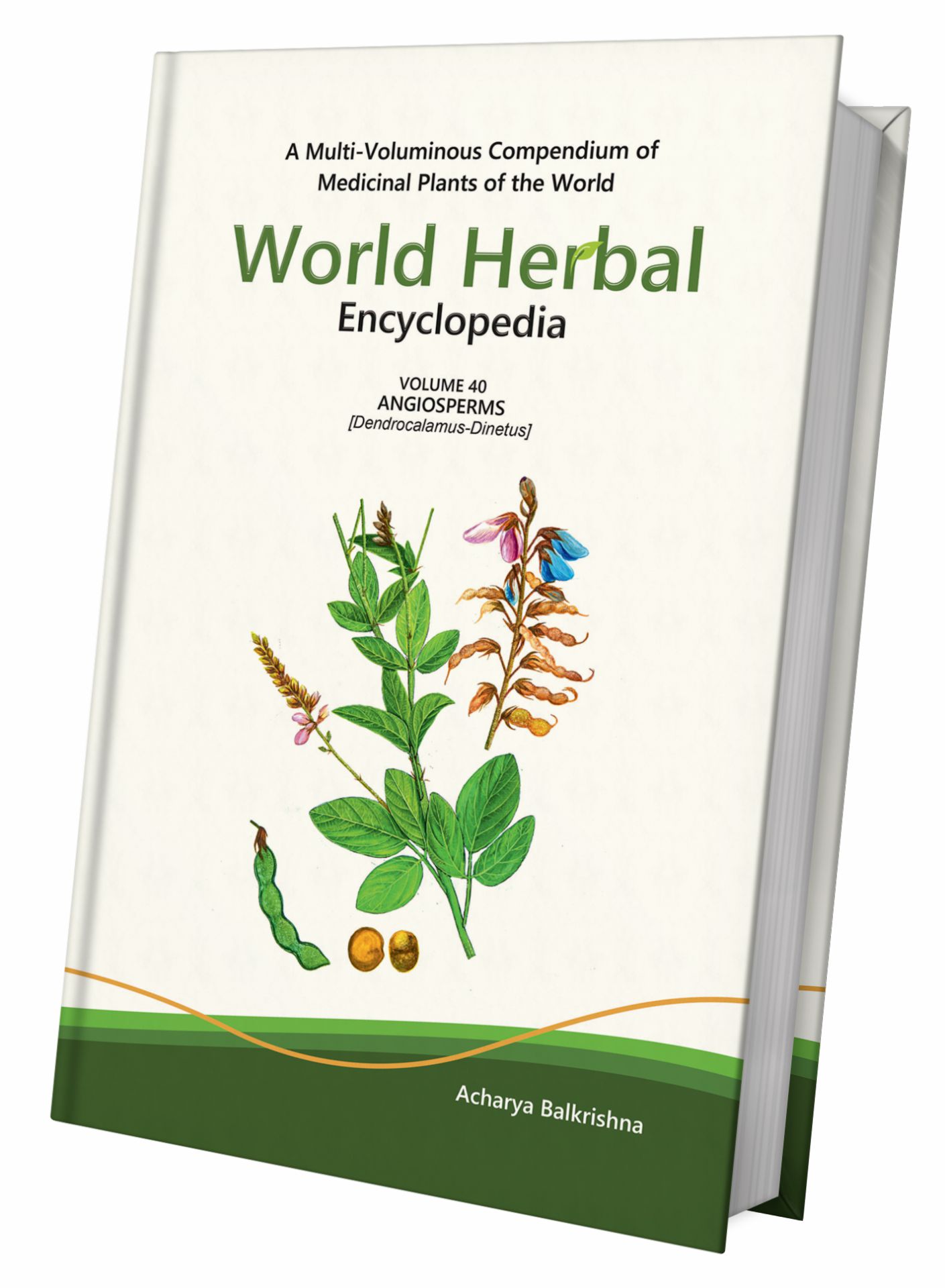 World Herbal Encyclopedia