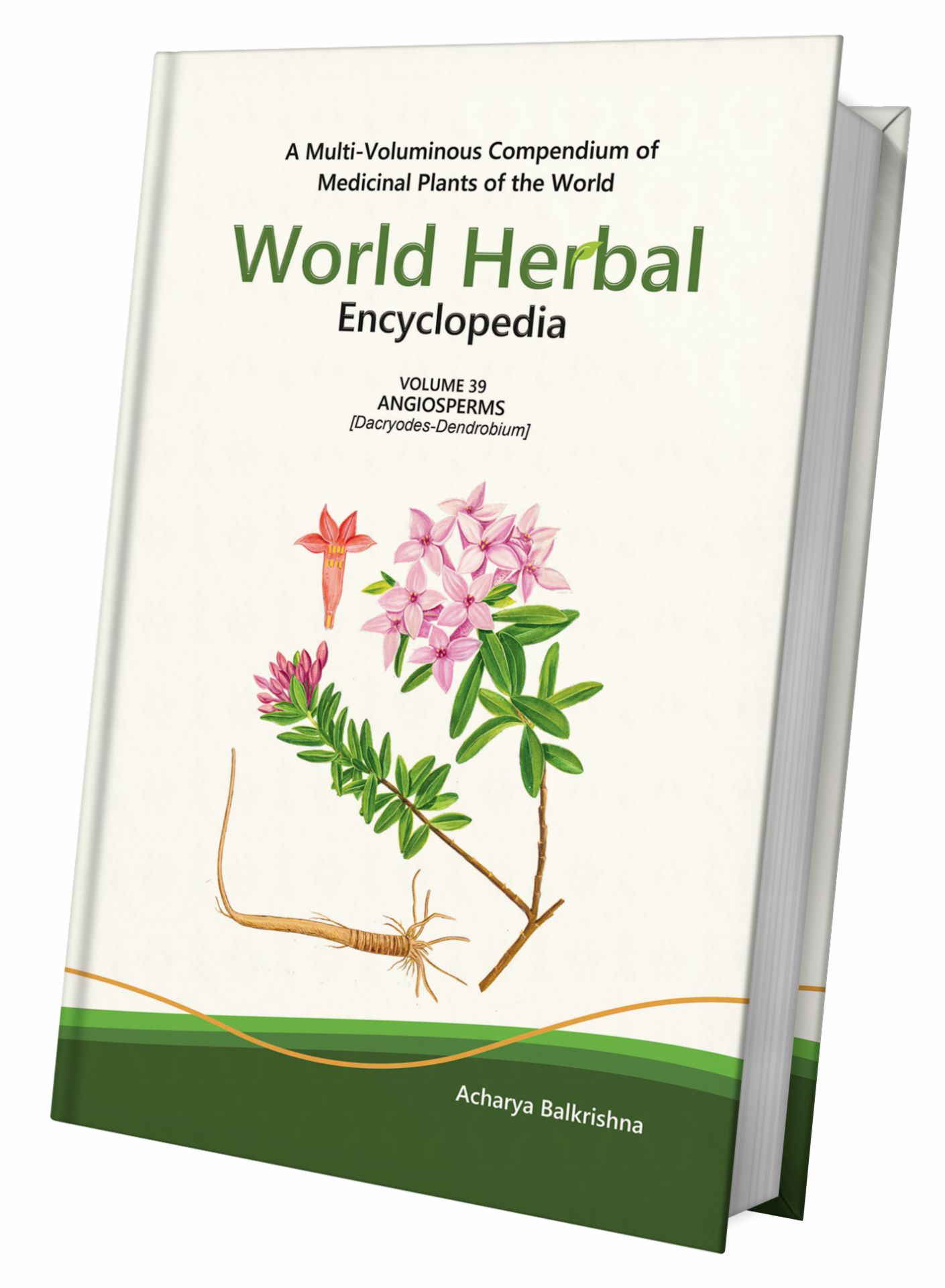 World Herbal Encyclopedia