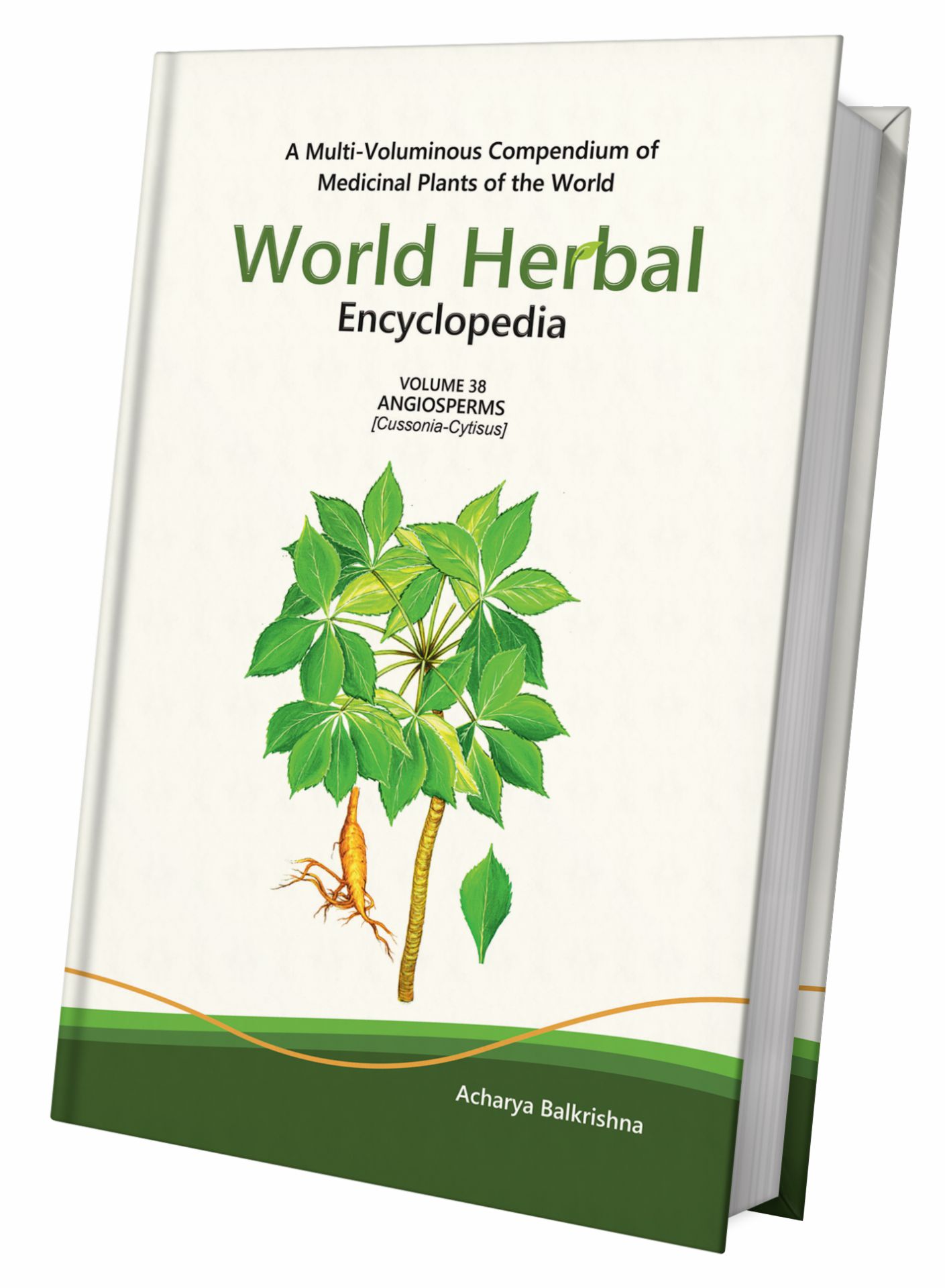 World Herbal Encyclopedia