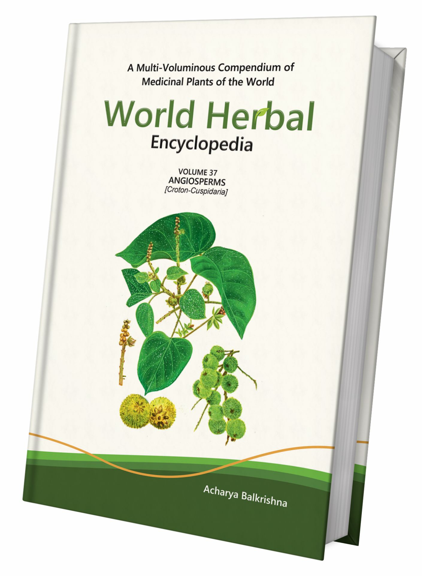 World Herbal Encyclopedia