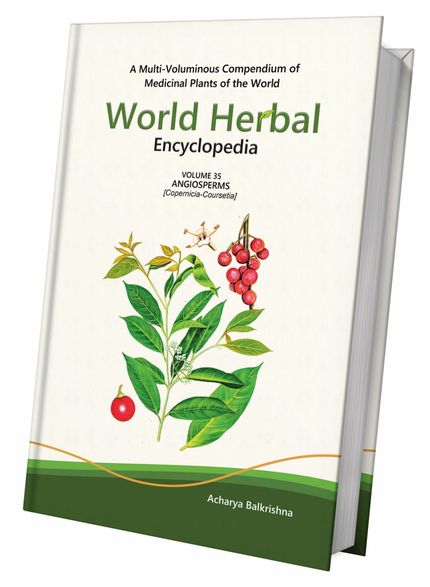 World Herbal Encyclopedia