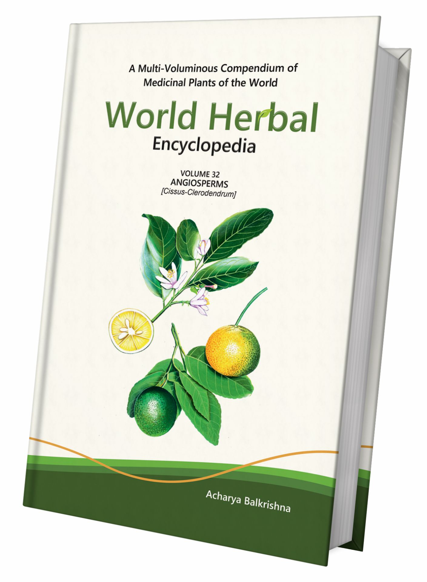 World Herbal Encyclopedia