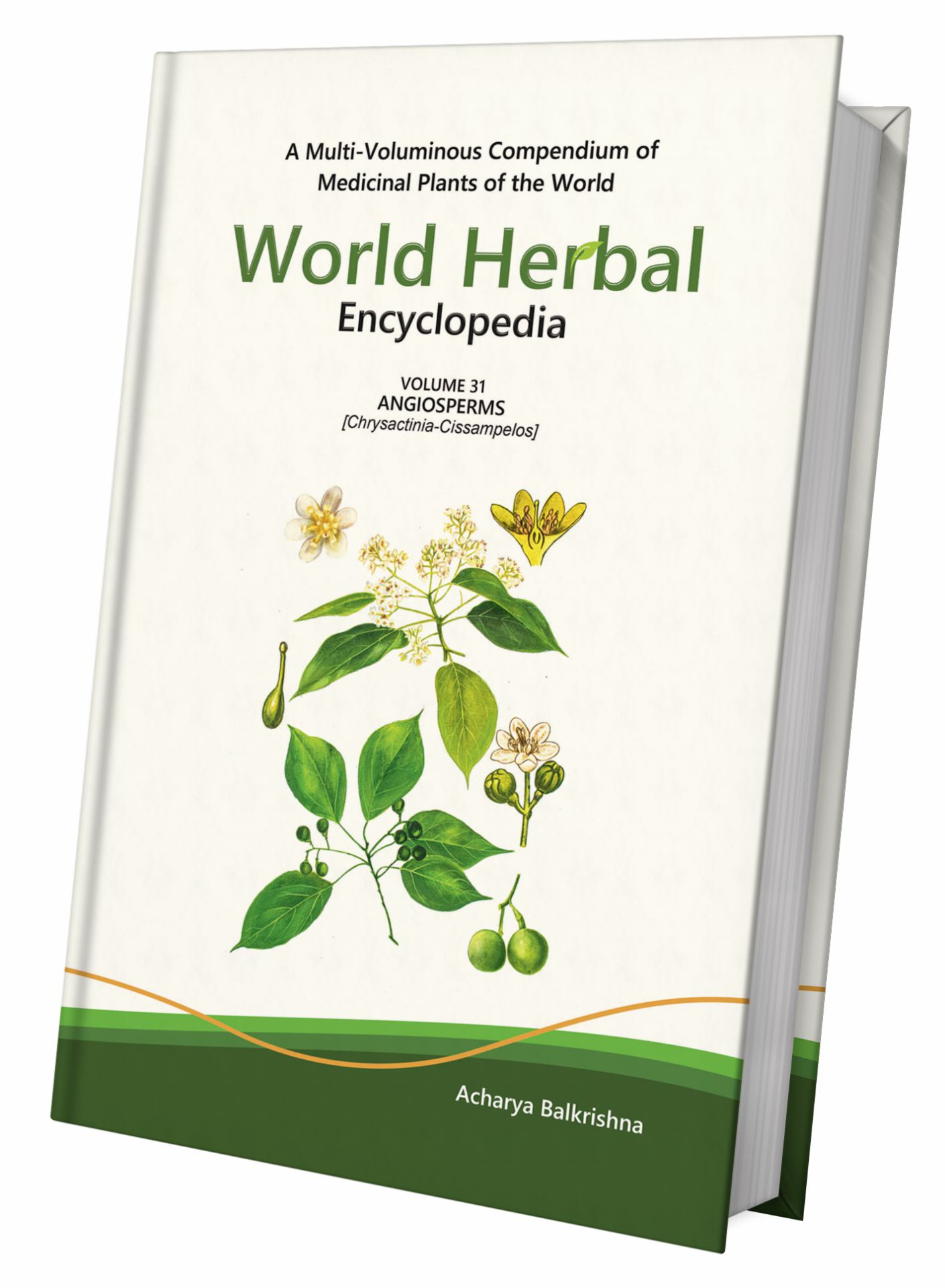 World Herbal Encyclopedia