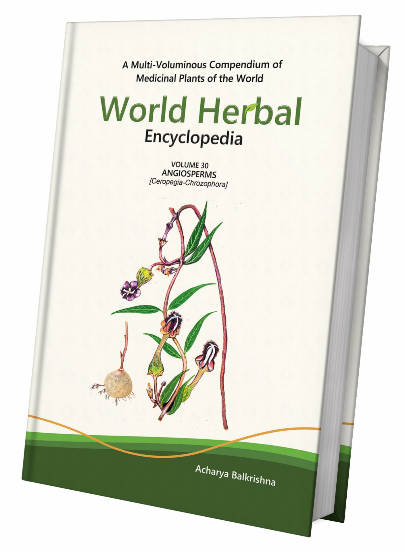 World Herbal Encyclopedia