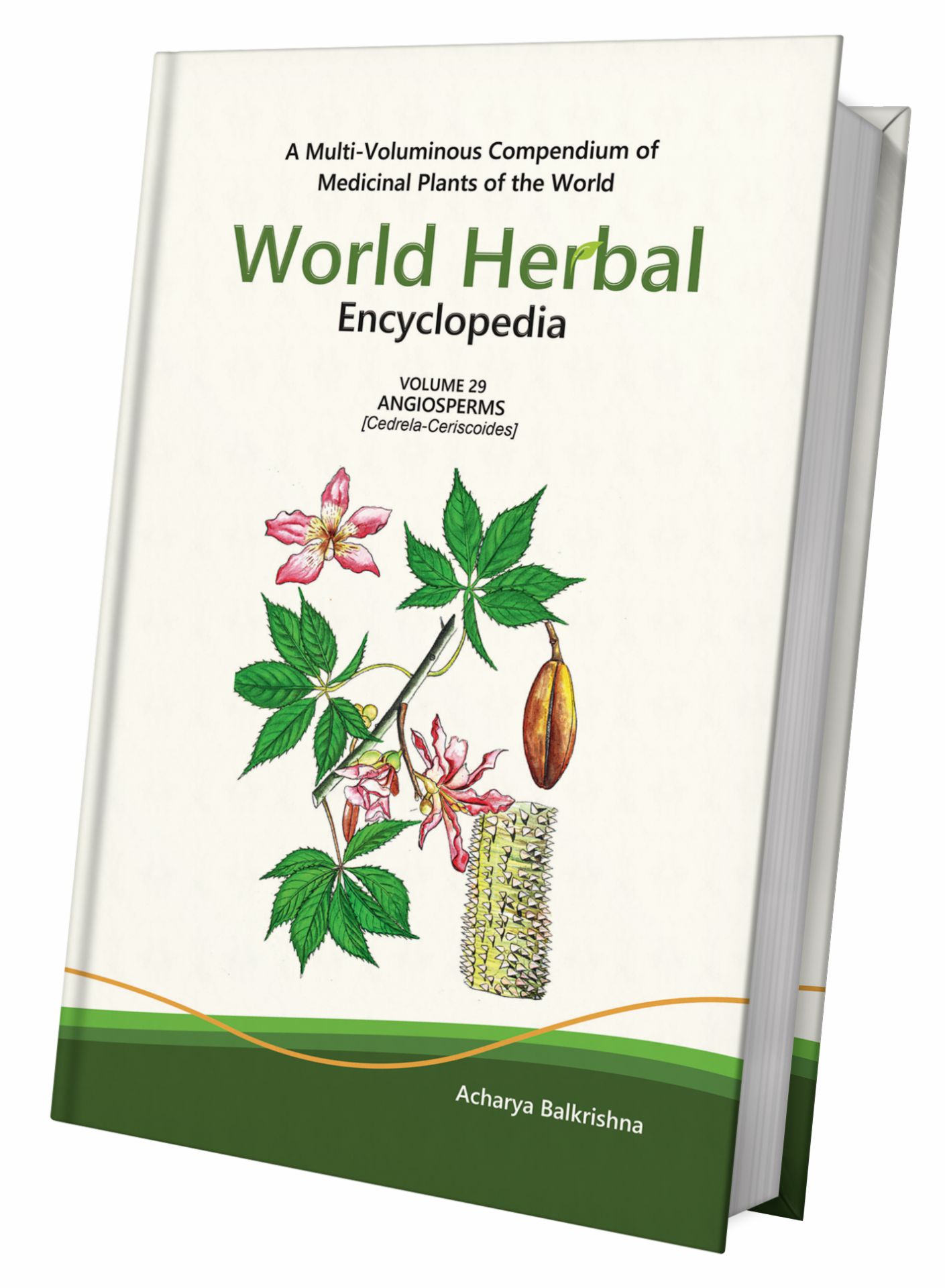 World Herbal Encyclopedia