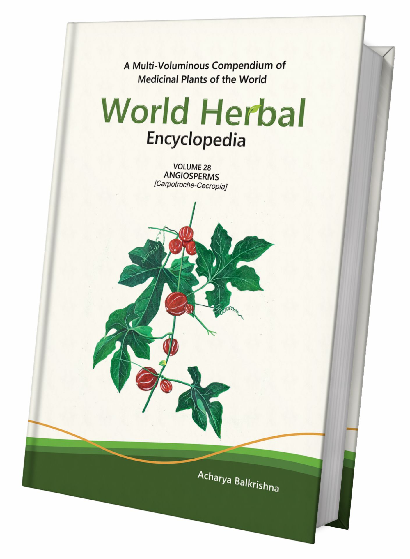 World Herbal Encyclopedia