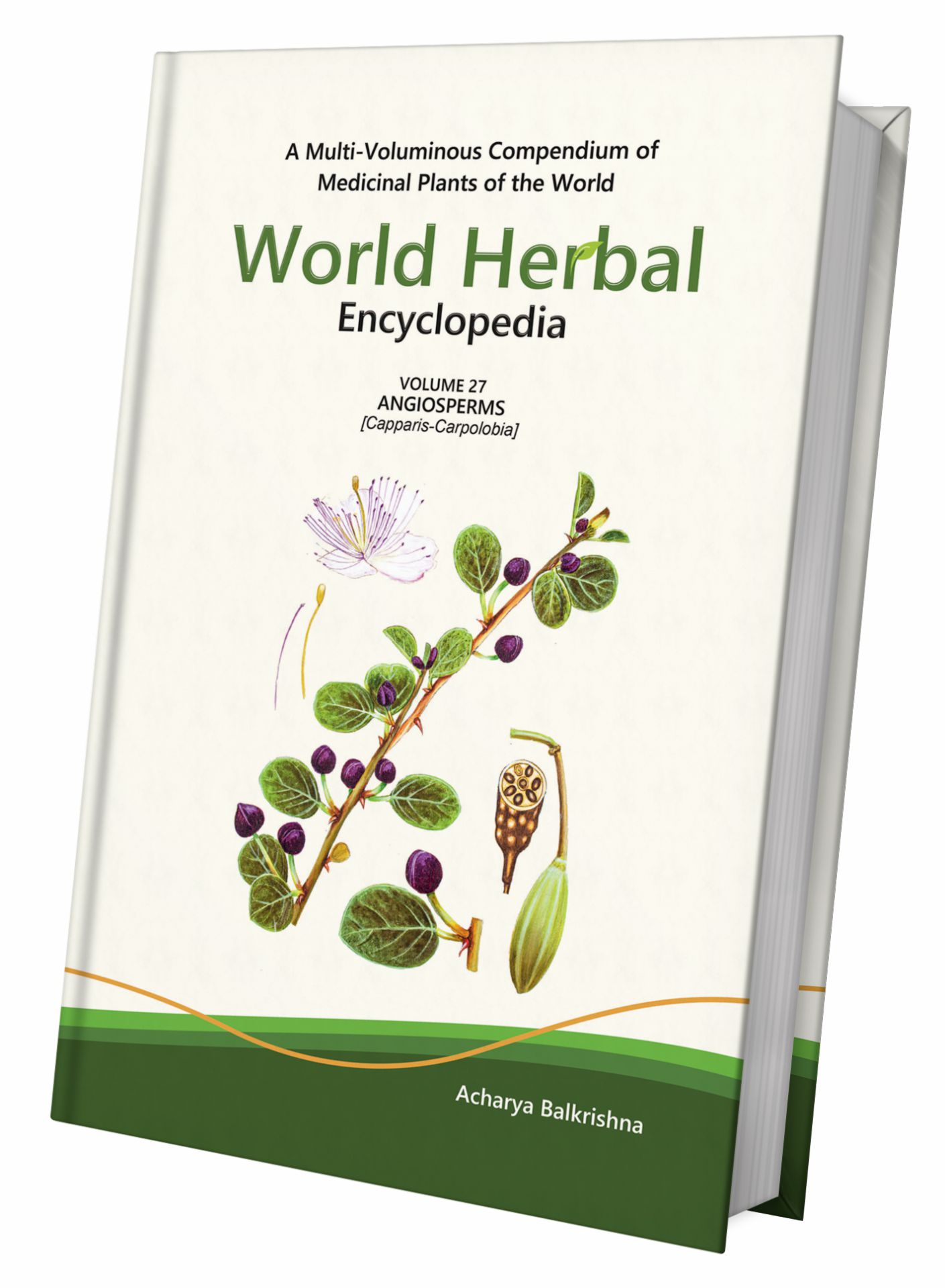 World Herbal Encyclopedia