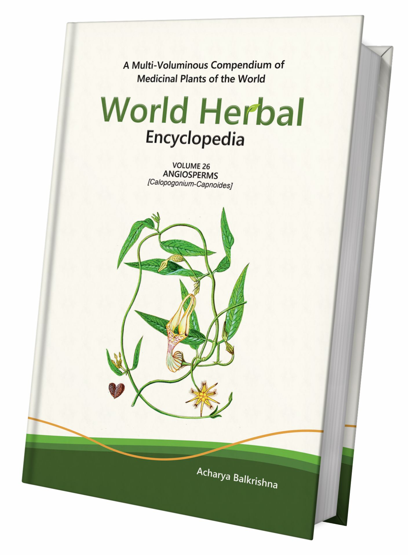 World Herbal Encyclopedia
