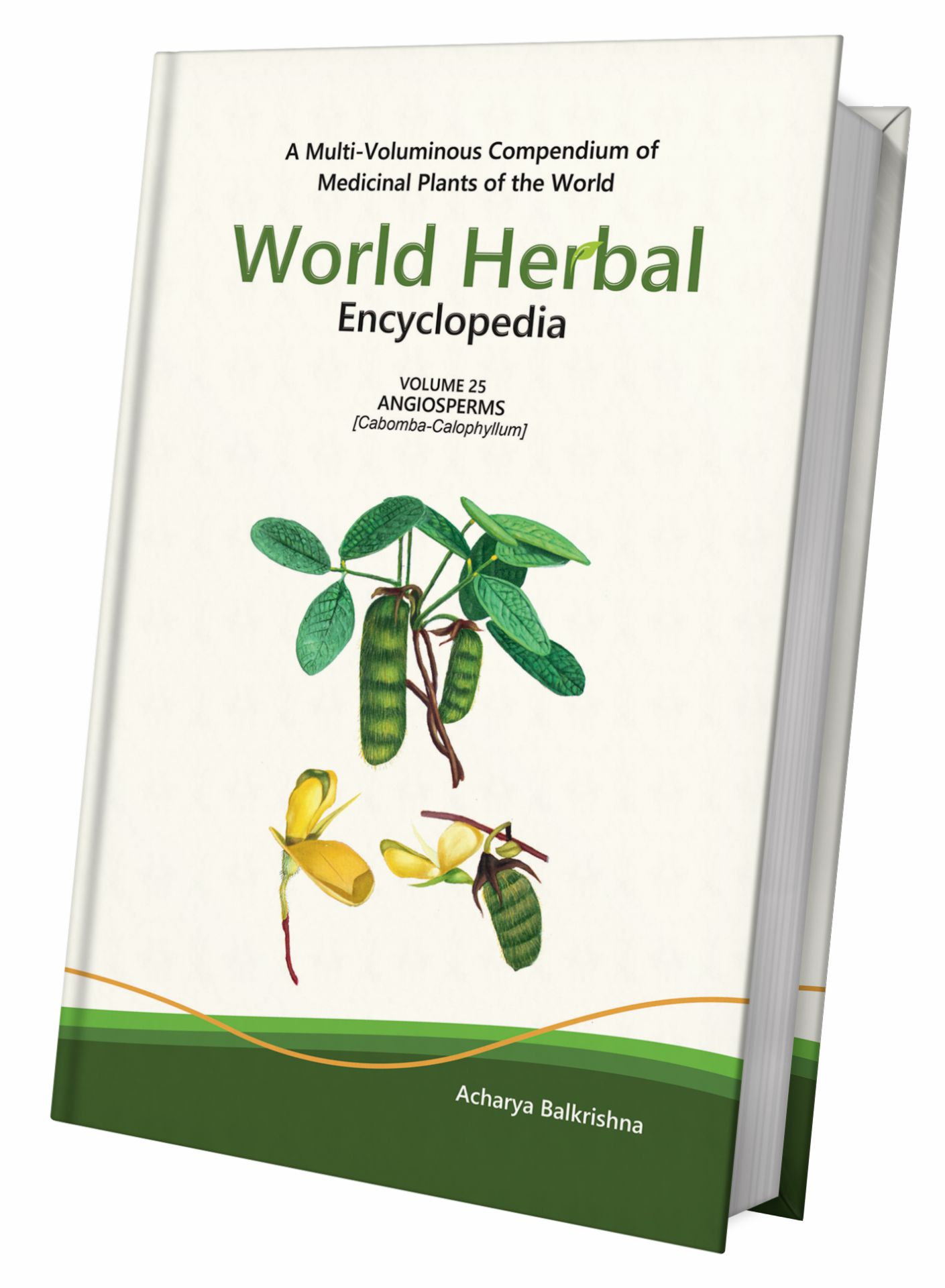 World Herbal Encyclopedia