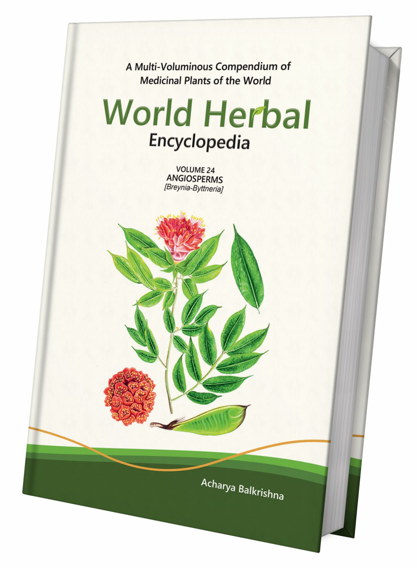 World Herbal Encyclopedia