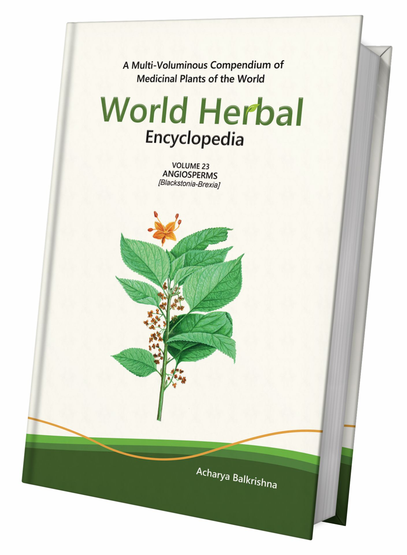 World Herbal Encyclopedia