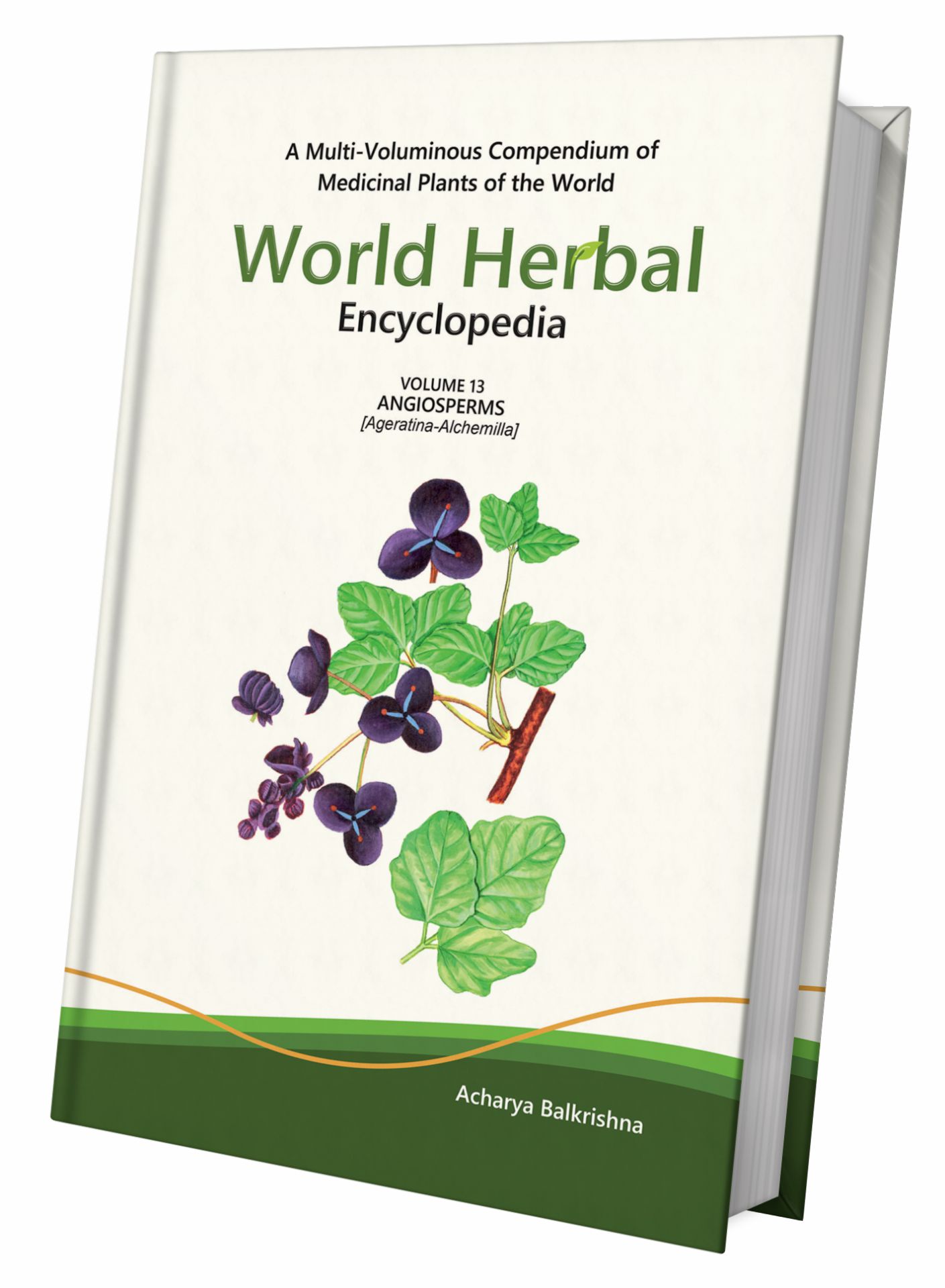 World Herbal Encyclopedia