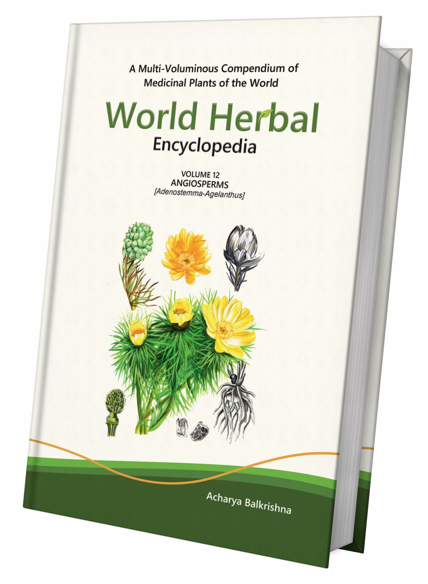 World Herbal Encyclopedia