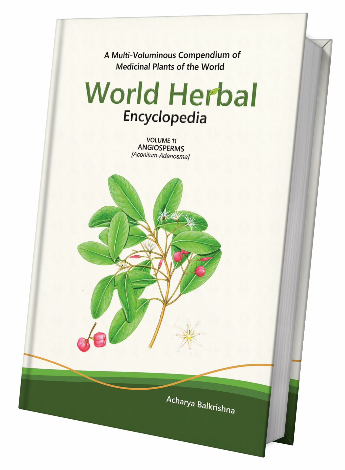 World Herbal Encyclopedia