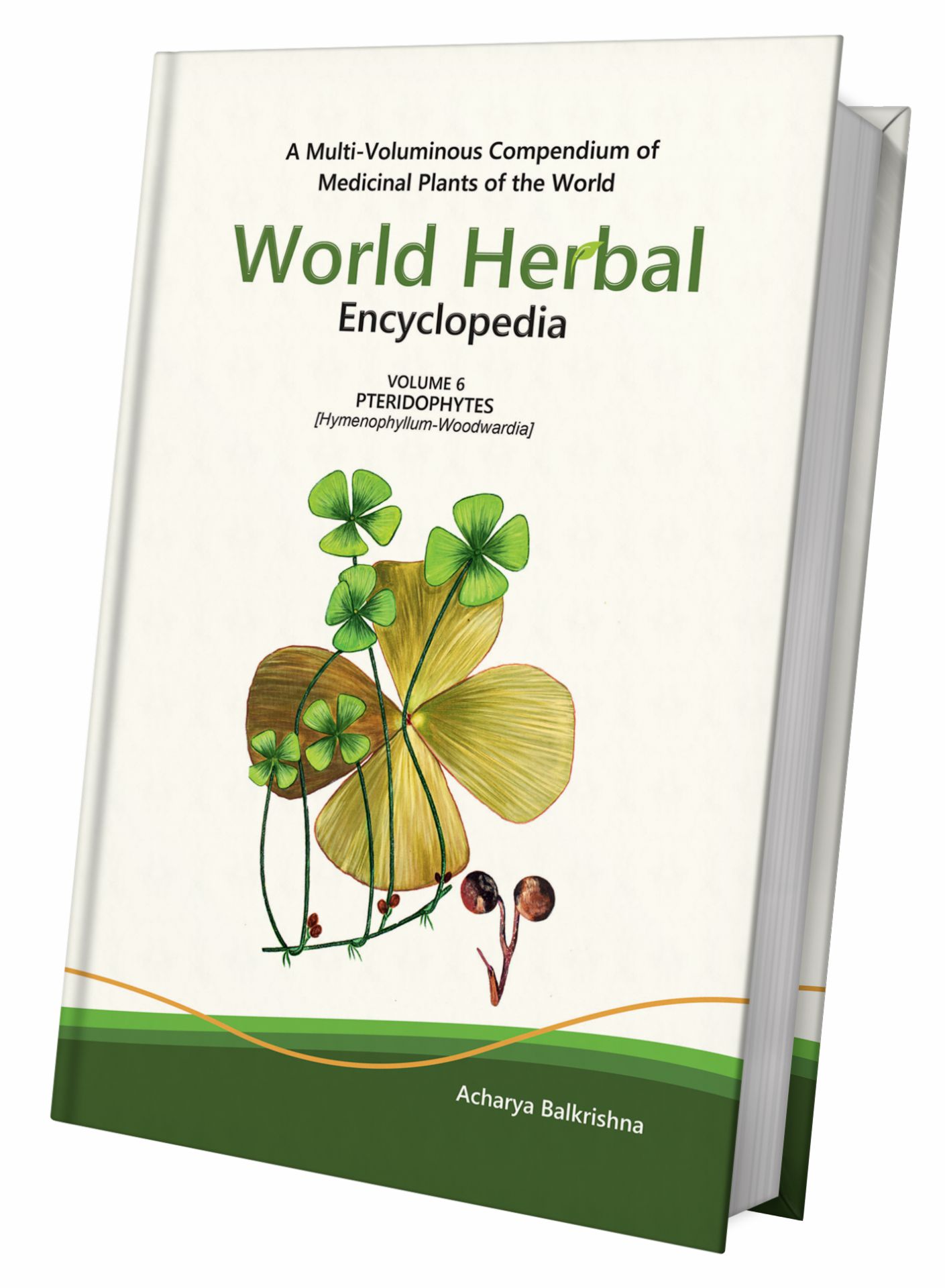 World Herbal Encyclopedia