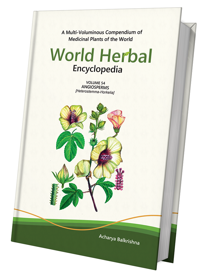 World Herbal Encyclopedia