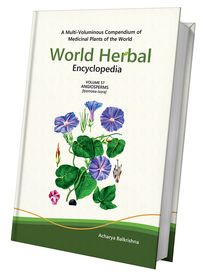 World Herbal Encyclopedia