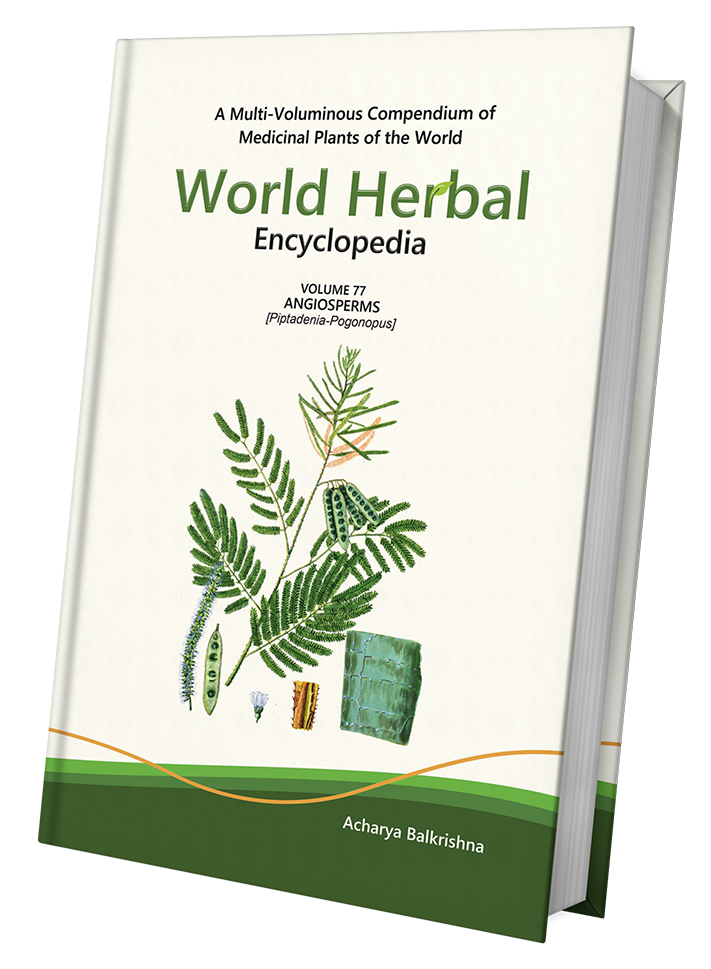 World Herbal Encyclopedia