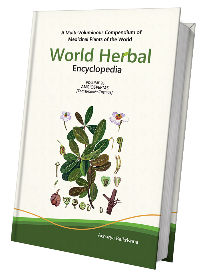 World Herbal Encyclopedia