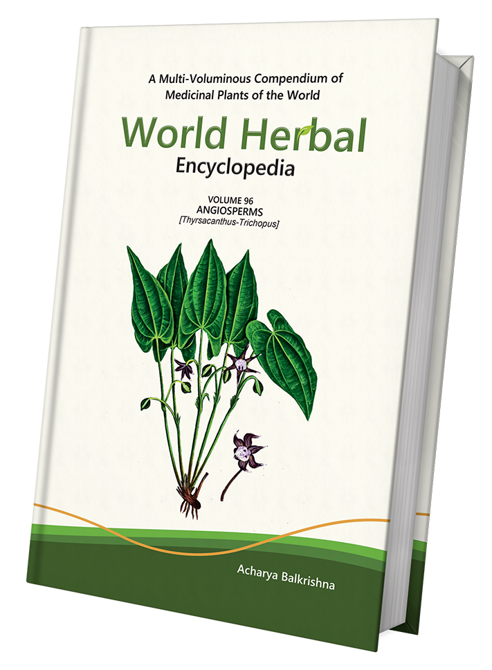 World Herbal Encyclopedia
