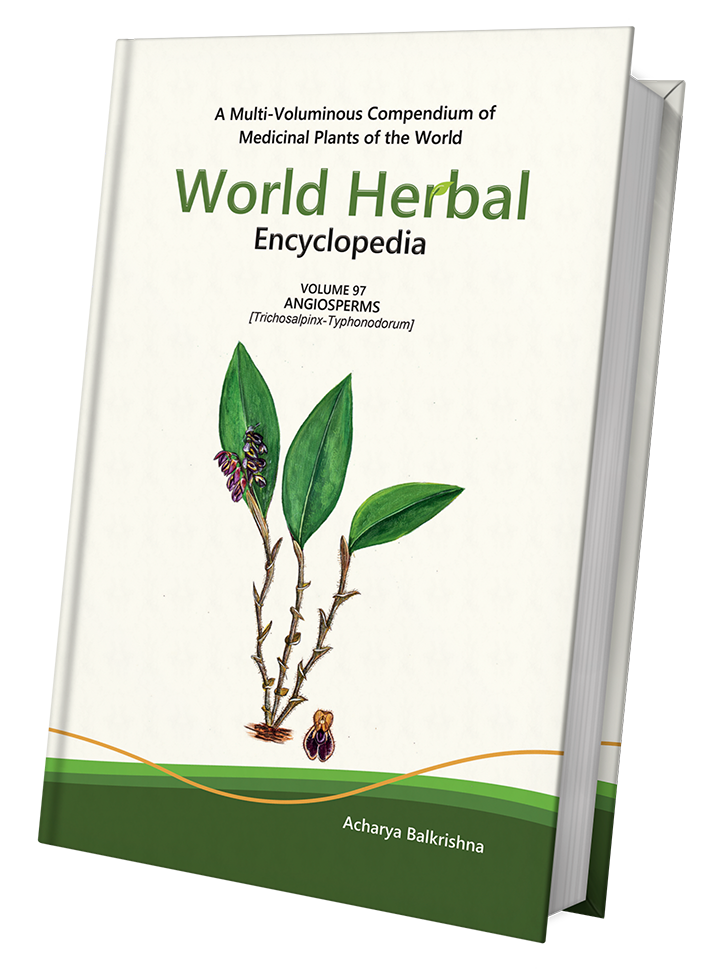 World Herbal Encyclopedia