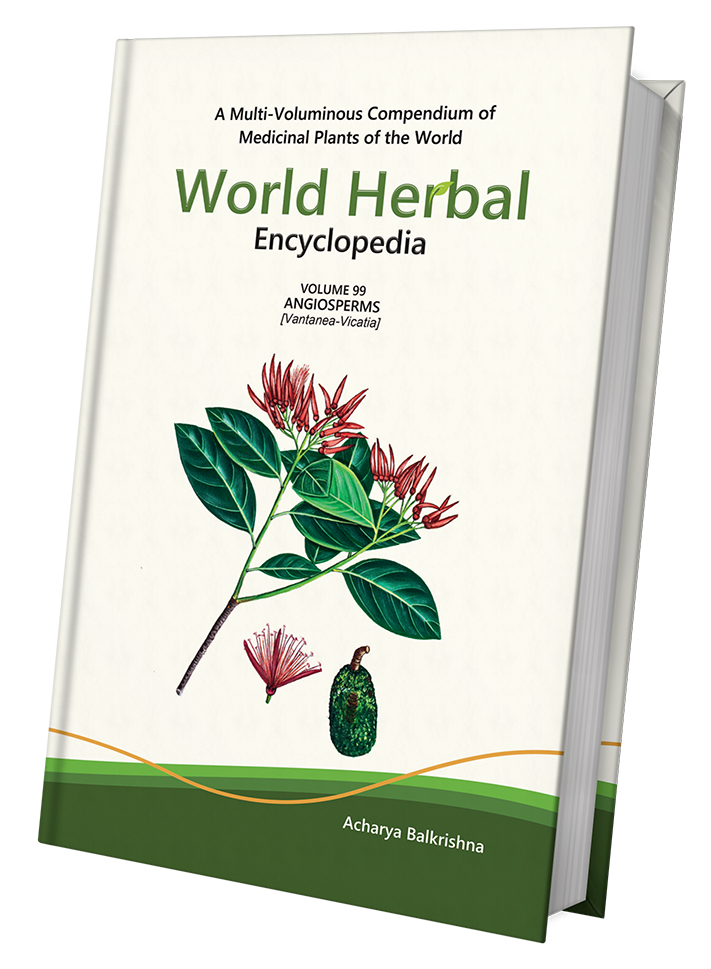 World Herbal Encyclopedia