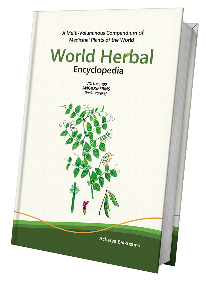World Herbal Encyclopedia