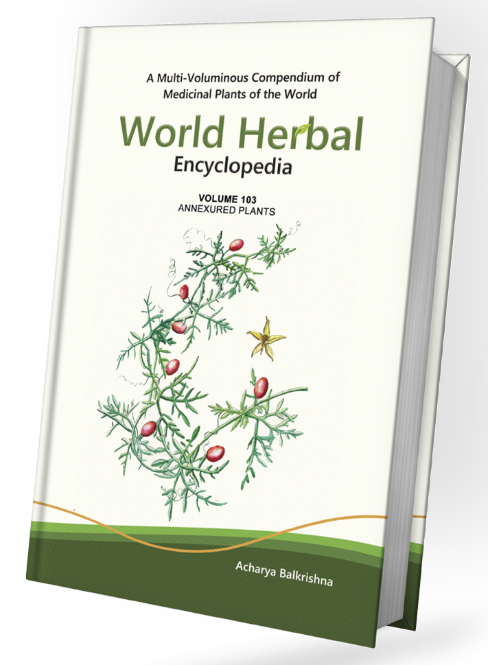 World Herbal Encyclopedia